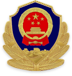 天津市公安局网上服务平台