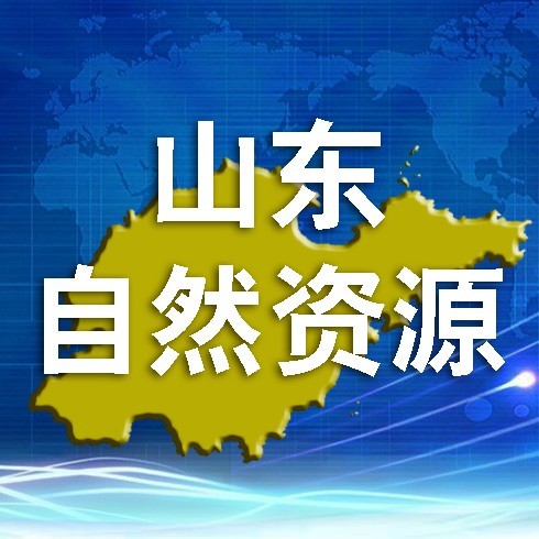 山东省自然资源厅