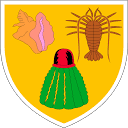 特克斯和凯科斯群岛政府